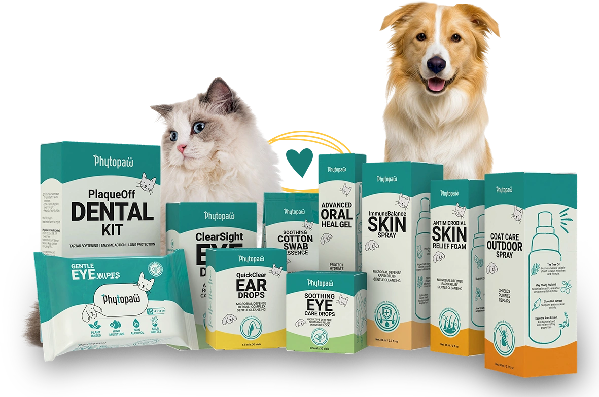 main products