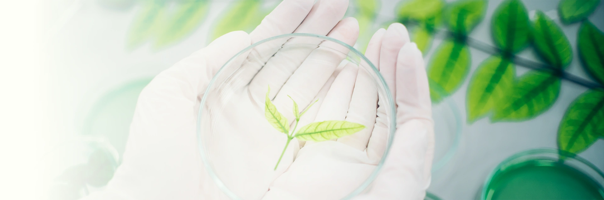 Innovation-banner