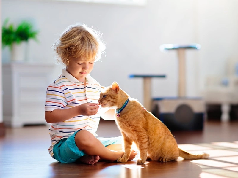 Can pets safely eat human fruits and vegetables 