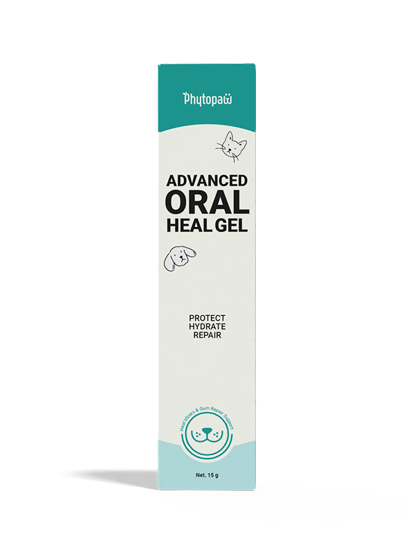 Advanced ORAL Heal Gel