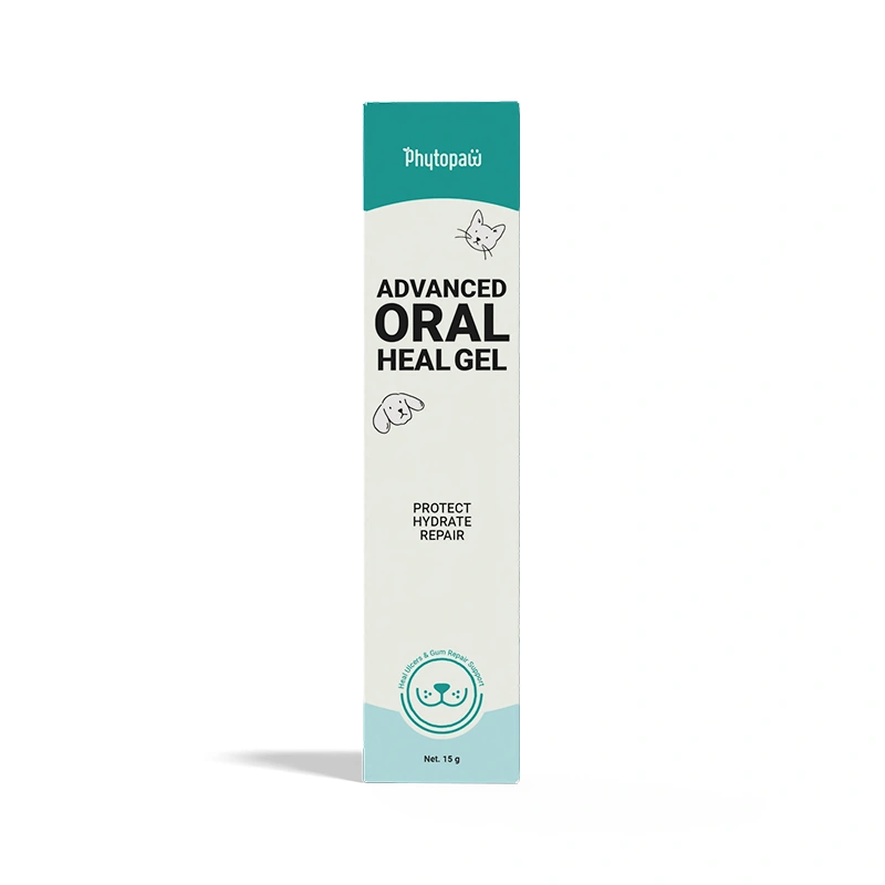Advanced ORAL Heal Gel