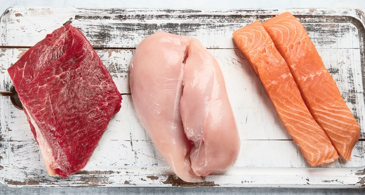 Adult Dogs & Cats – Energy Balance & Maintenance