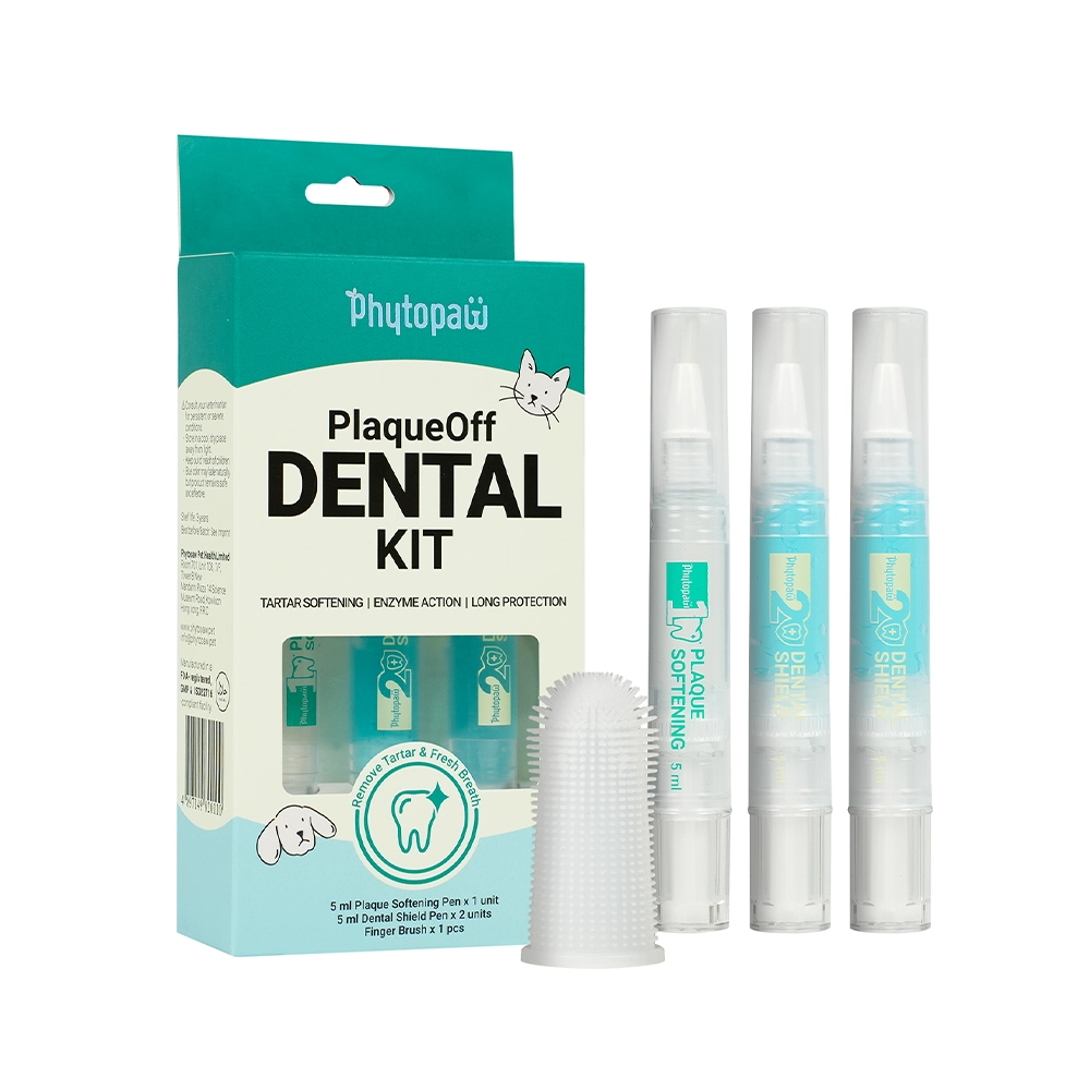 PlaqueOff Dental Kit