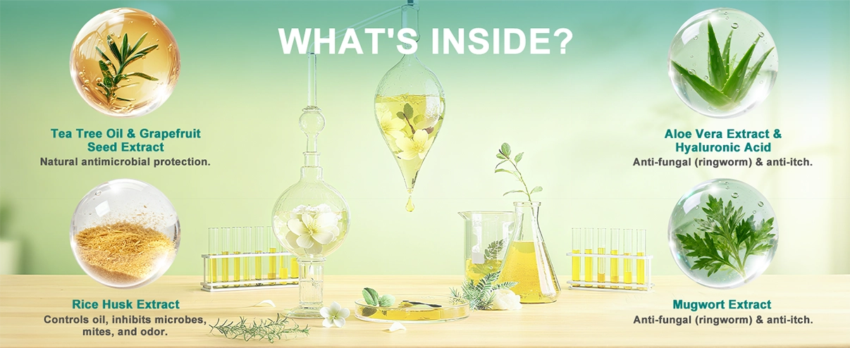 Antimicrobial Skin Relief Foam