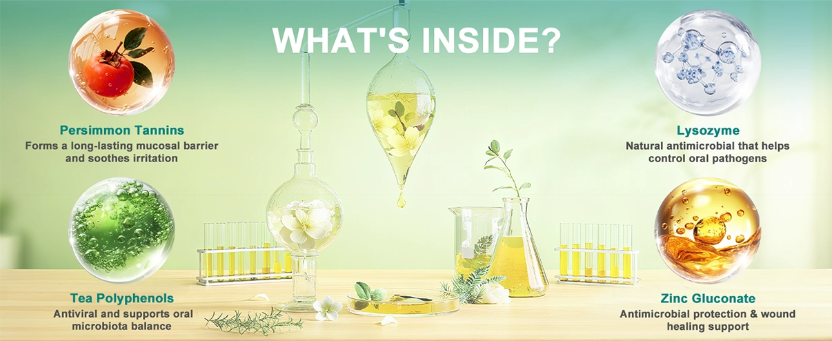 PlaqueOff Dental Kit