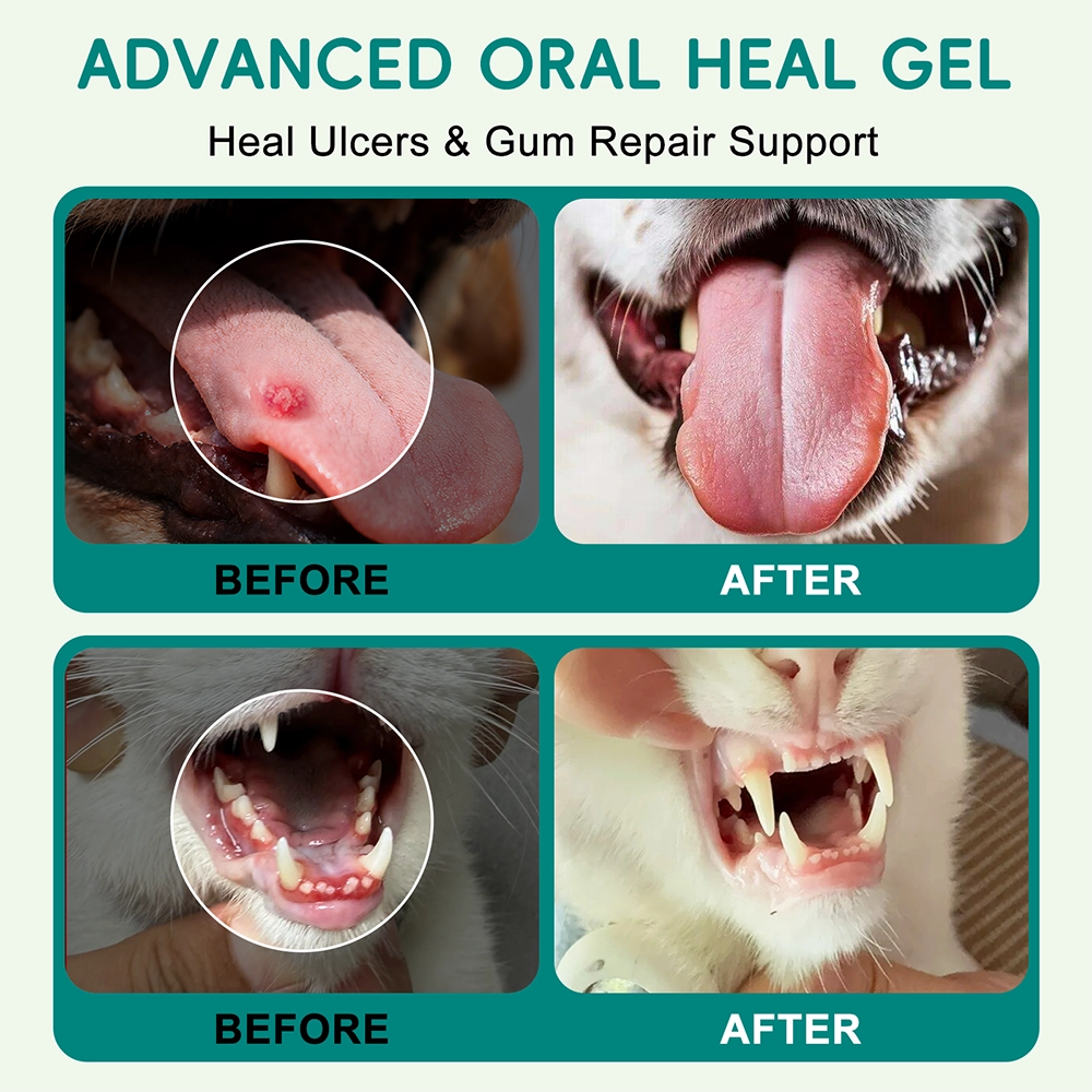 Advanced ORAL Heal Gel