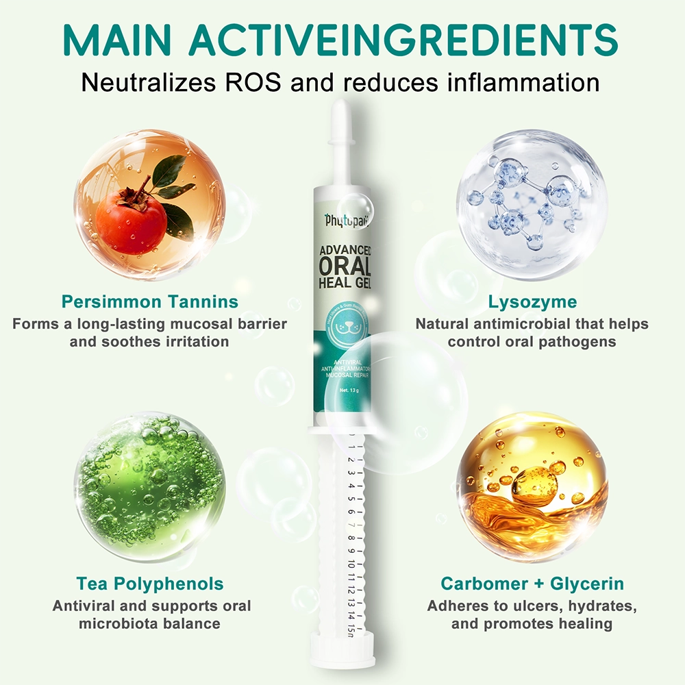 Advanced ORAL Heal Gel