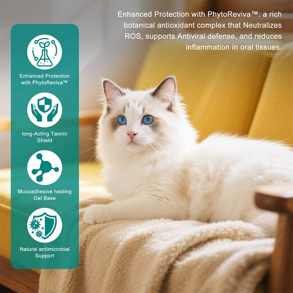 Advanced ORAL Heal Gel