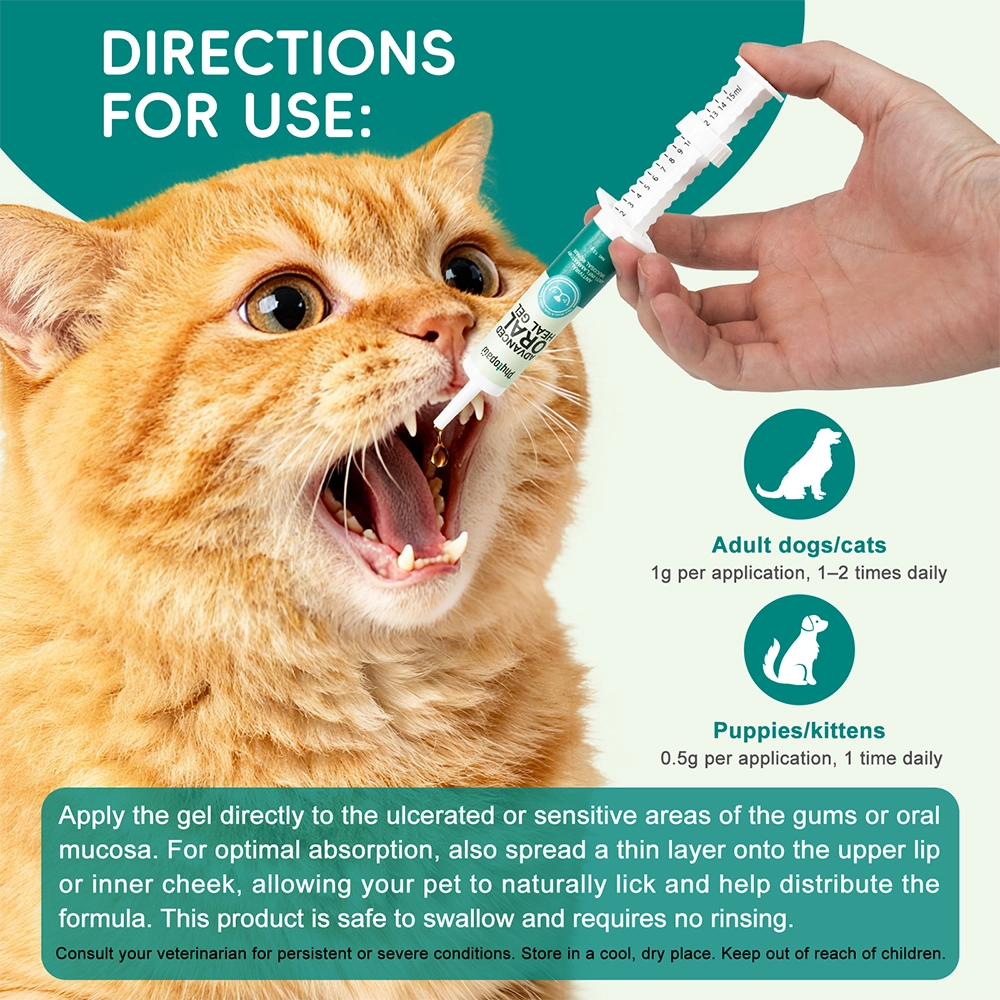 Advanced ORAL Heal Gel