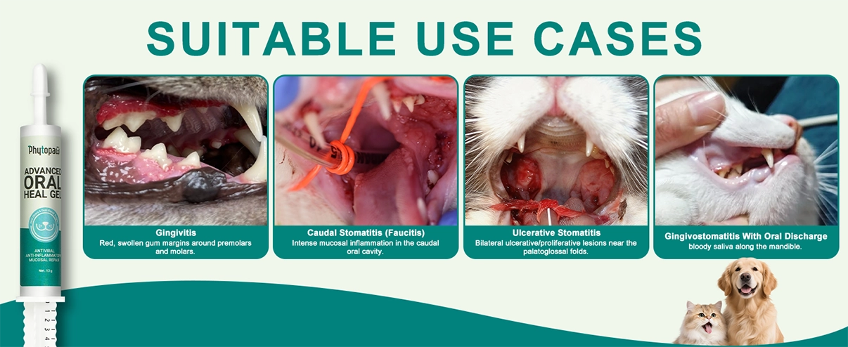 Advanced ORAL Heal Gel