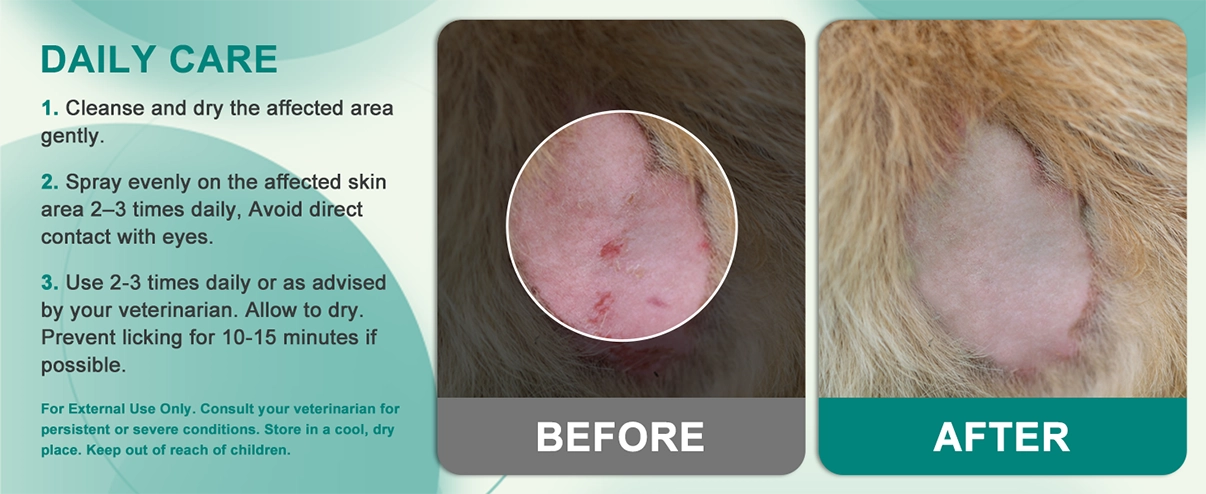 Antimicrobial Skin Relief Foam