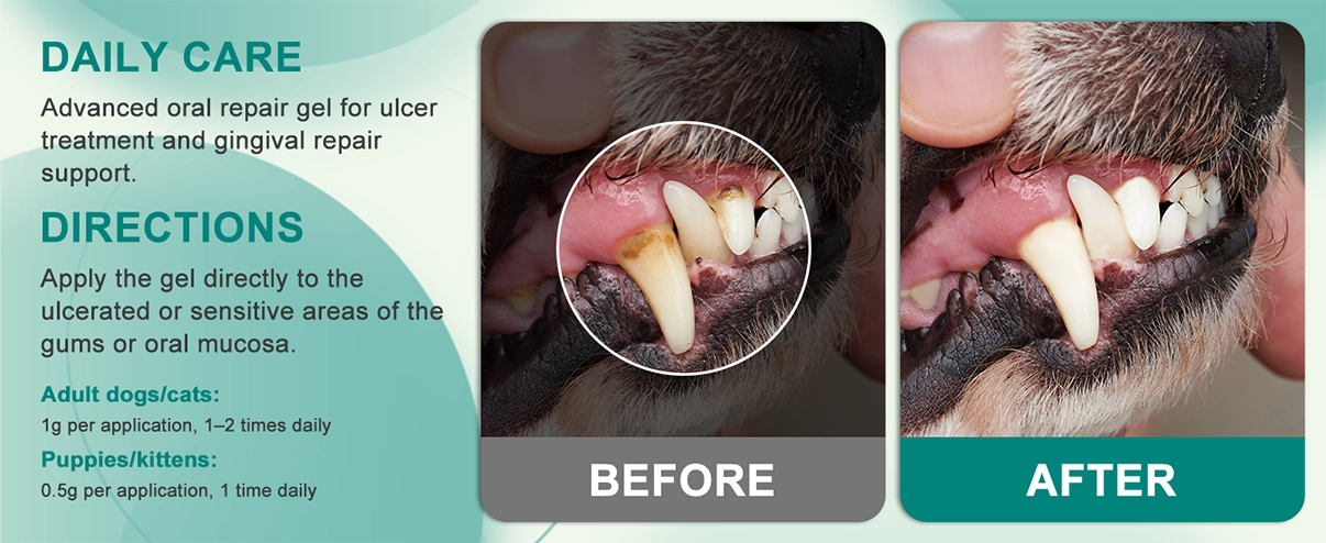 PlaqueOff Dental Kit