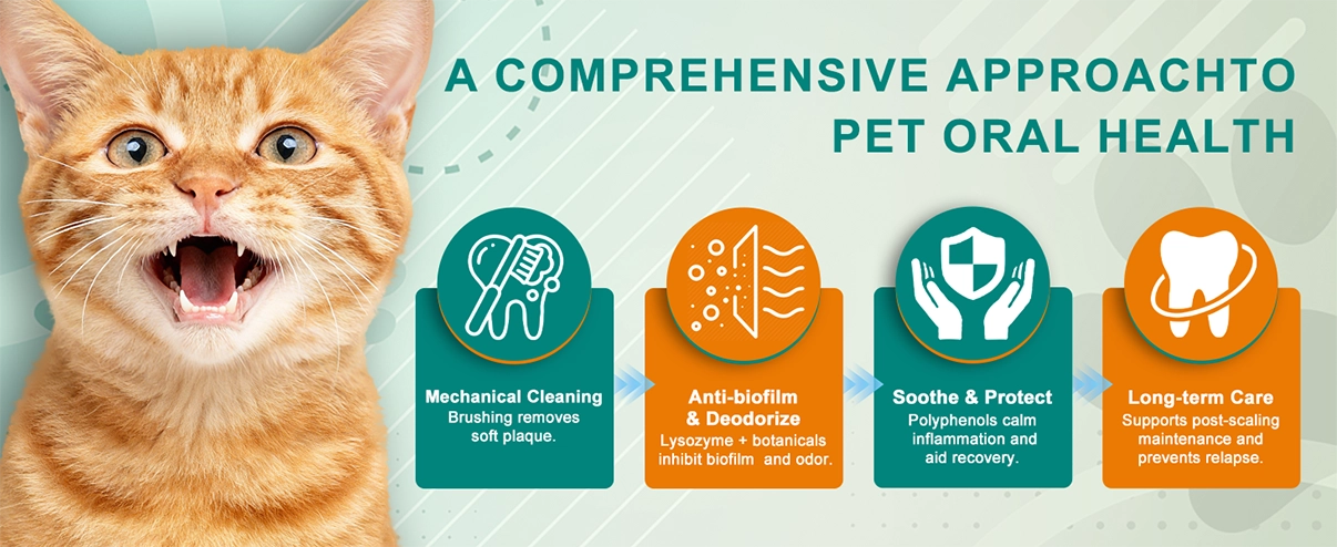 PlaqueOff Dental Kit