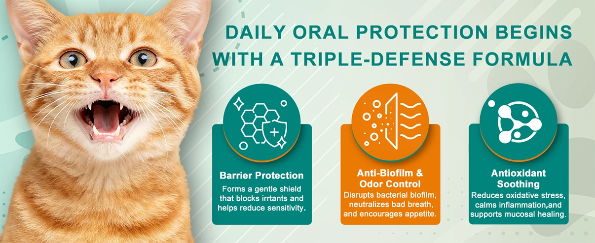 Advanced ORAL Heal Gel