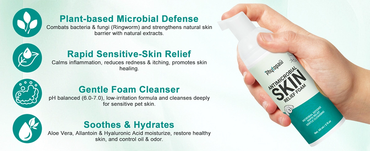 Antimicrobial Skin Relief Foam