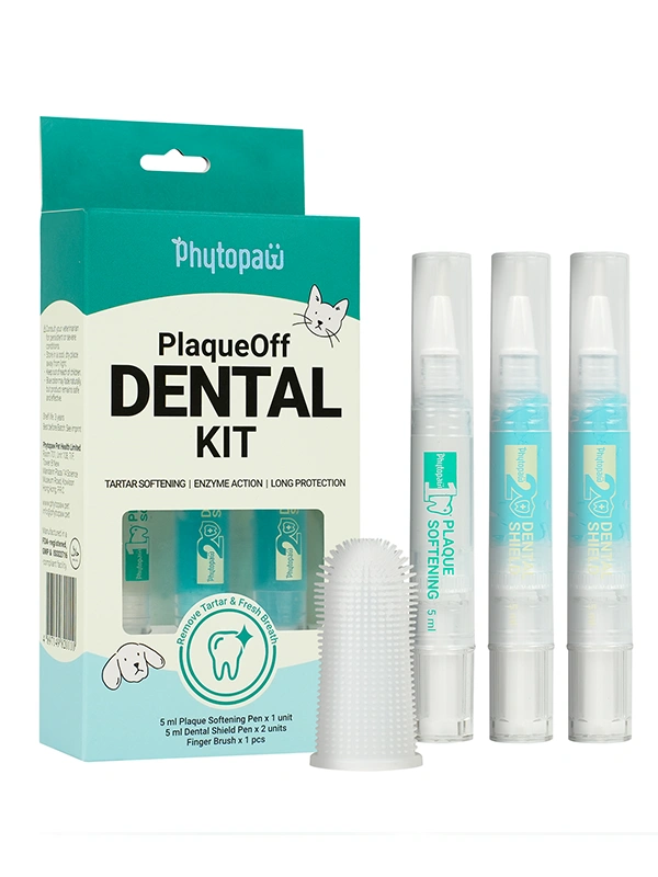 PlaqueOff Dental Kit