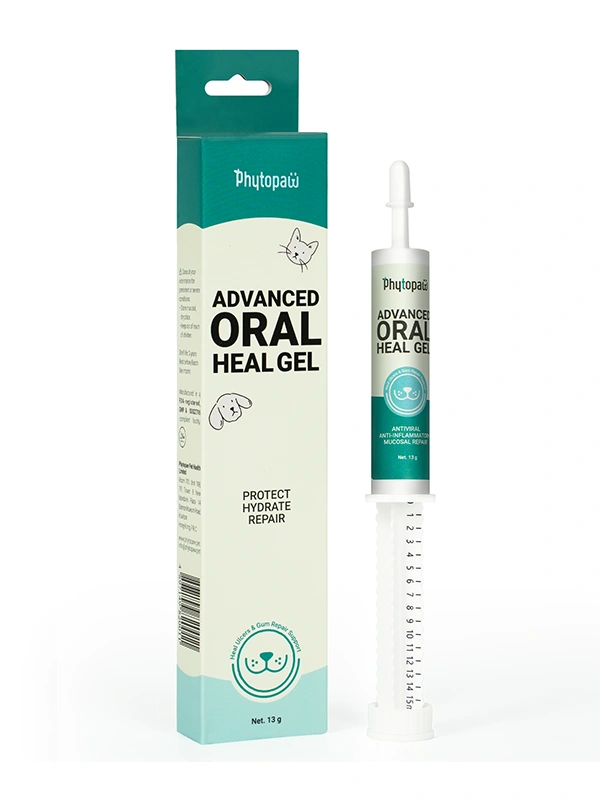 Advanced ORAL Heal Gel