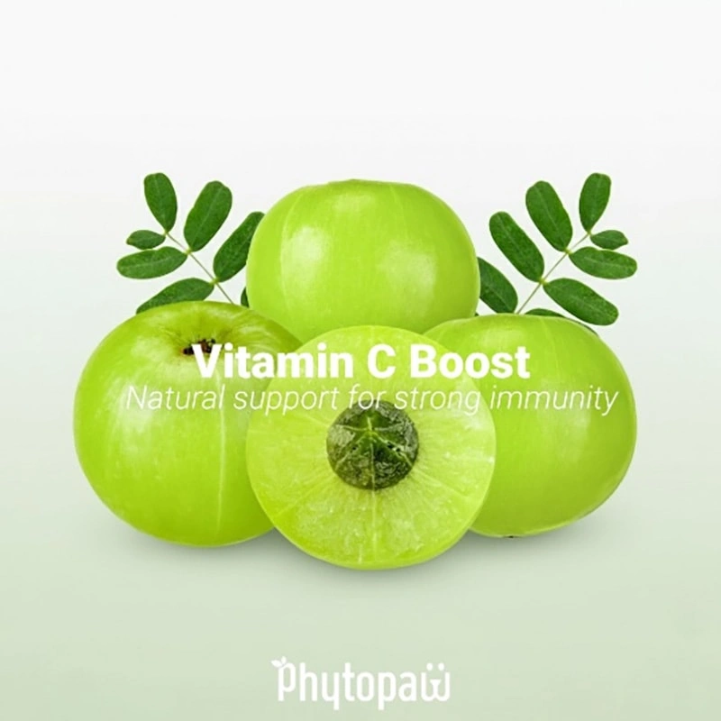 Amla (Phyllanthus emblica)