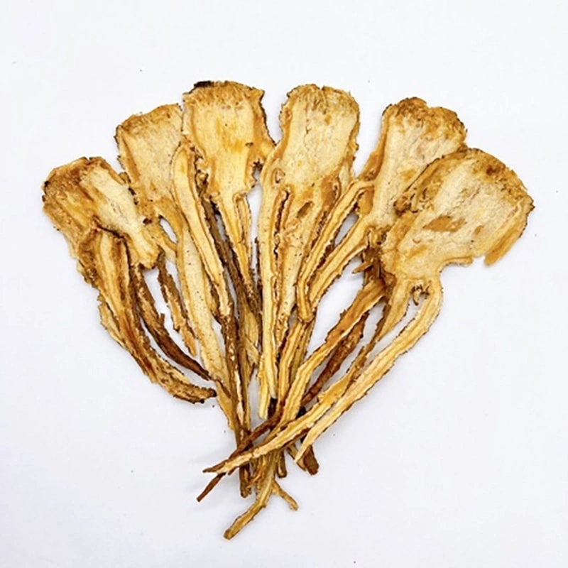 Dong Quai: The Restorative Herb for Pet Skin