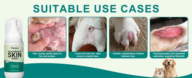 Dong Quai para el cuidado de perros o gatos