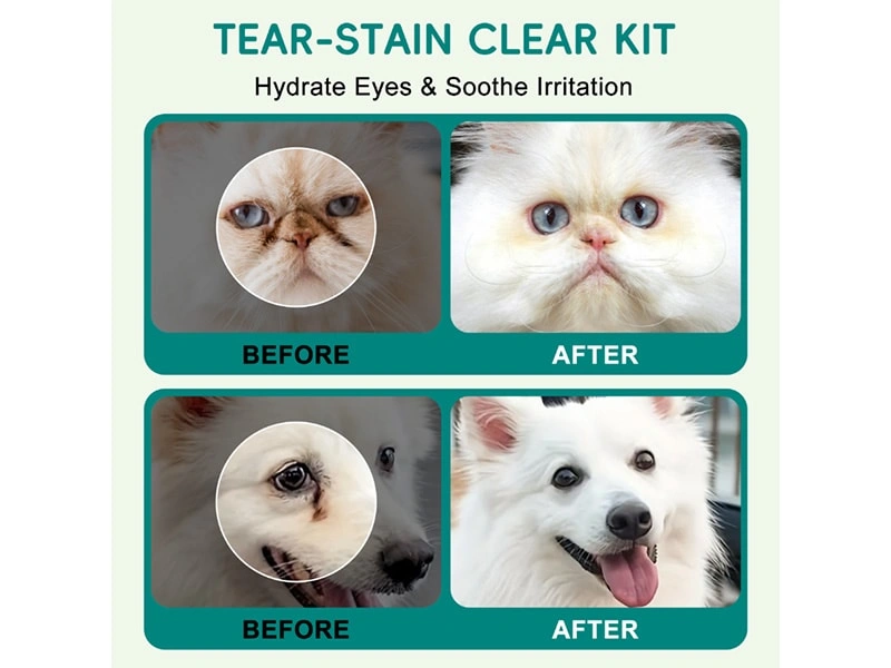 Are Tear Stains Caused by Allergies?