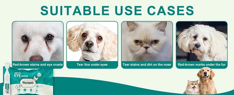 Are Tear Stains Caused by Allergies?