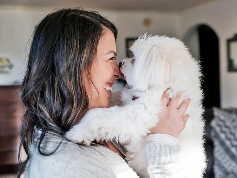 Grapefruit: A Bright and Purifying Essence for Pets