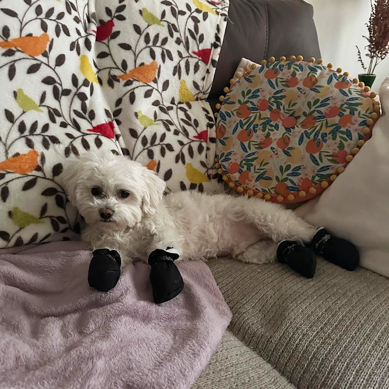 Julija