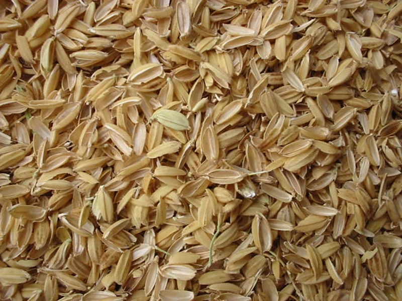 Rice Husk: The Gentle Nourisher for Pet Skin